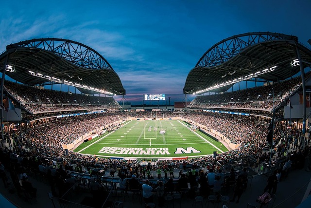 水平和心理 水平和心理