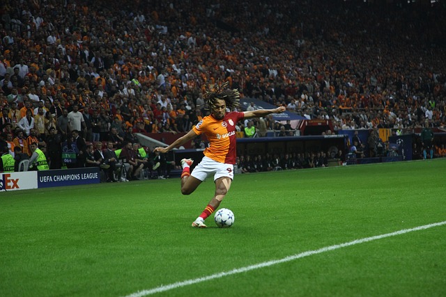 不仅赢得了 不仅赢得了