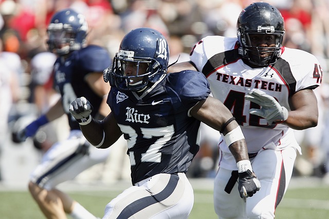 众趋之若鹜 众趋之若鹜