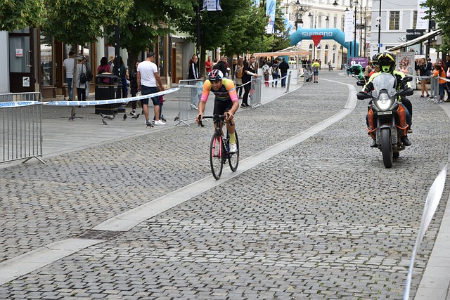 法與薩內達 法與薩內達