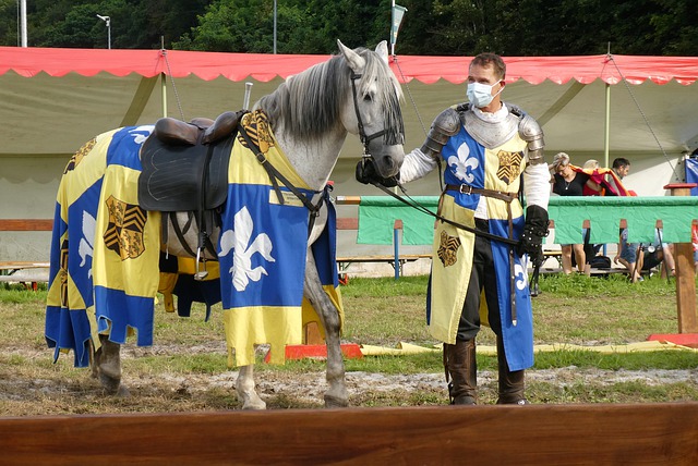 该队的成功 该队的成功
