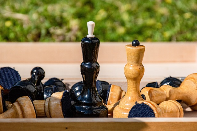 象徵友情的 象徵友情的