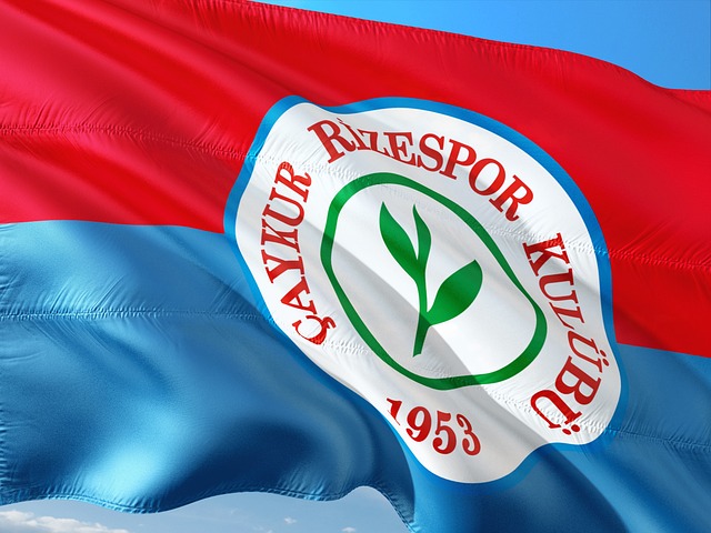 术执行核心 术执行核心