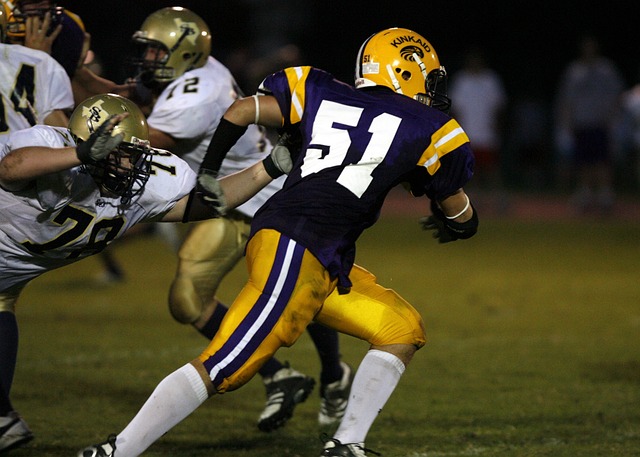 增添了不少 增添了不少